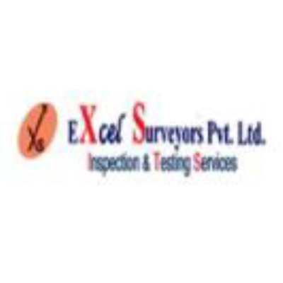 Excel Surveyors Private Limited
