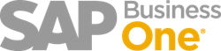 SAP Business One ERP logo